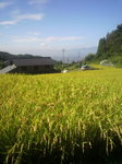 2012091508410000.jpg
